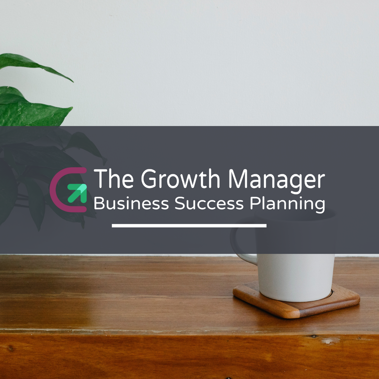 The Growth Manager