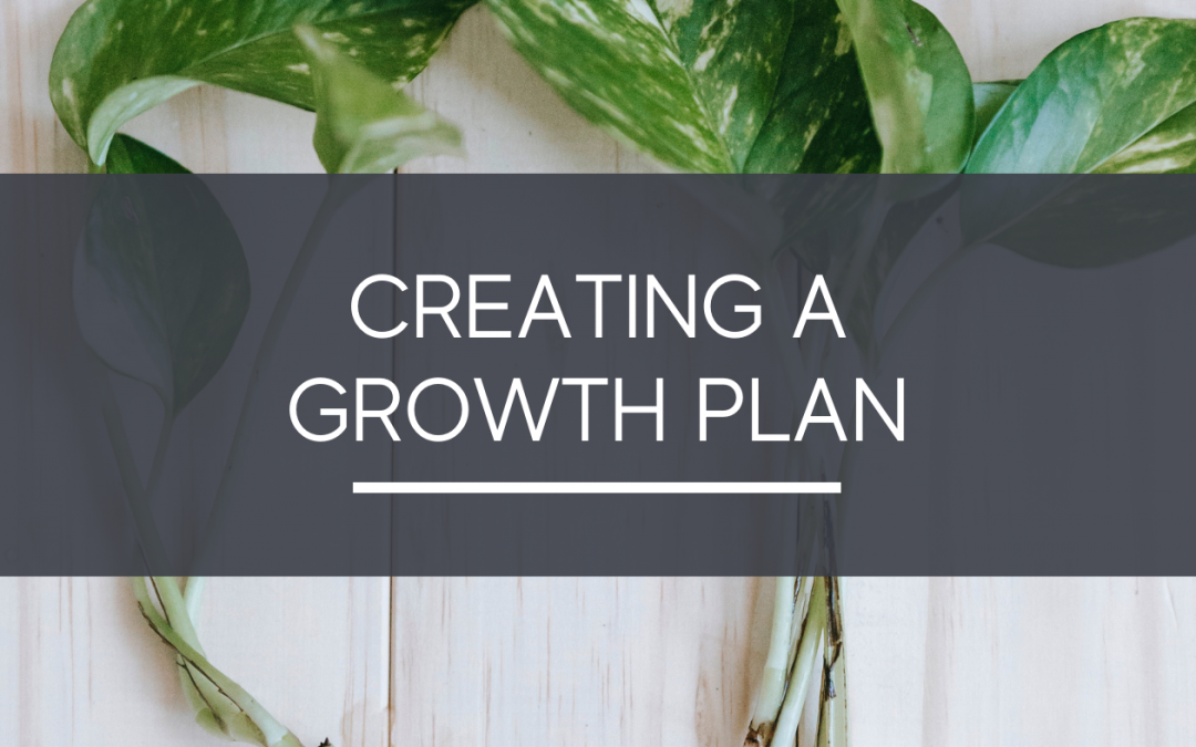 Creating A Growth Plan