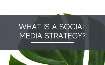 What is a Social Media Strategy - The Growth Manager