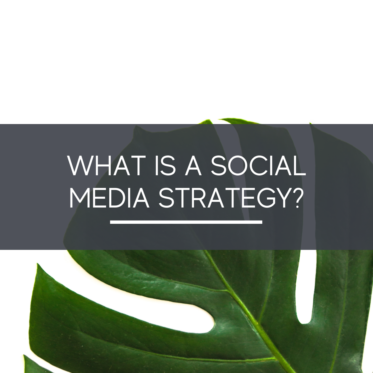 What is a Social Media Strategy - The Growth Manager