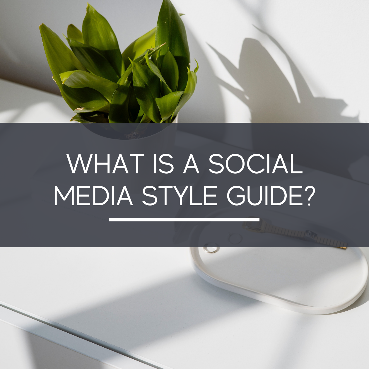 What is a Brand Style Guide? - The Growth Manager