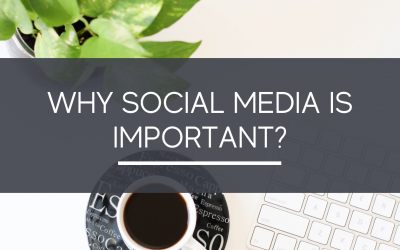 Why is Social Media important?