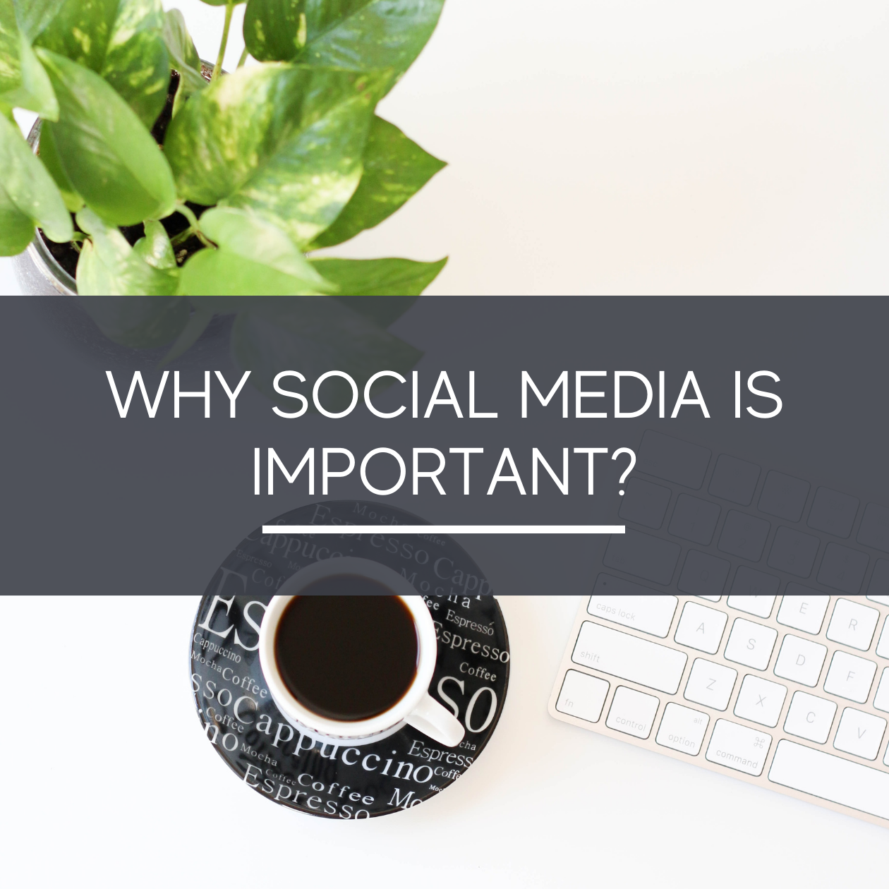 Why is Social Media important?