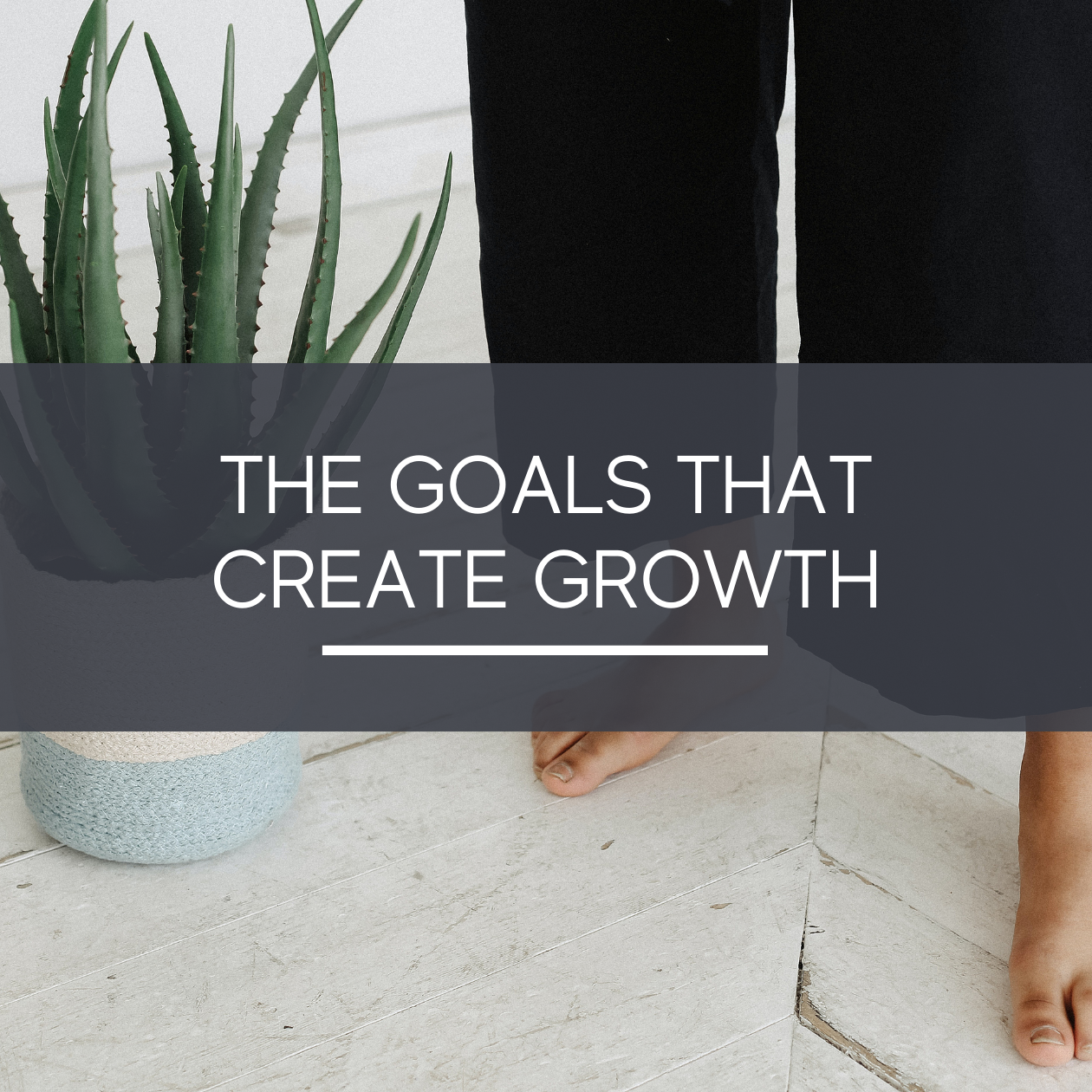 The Goals That Create Growth - The Growth Manager