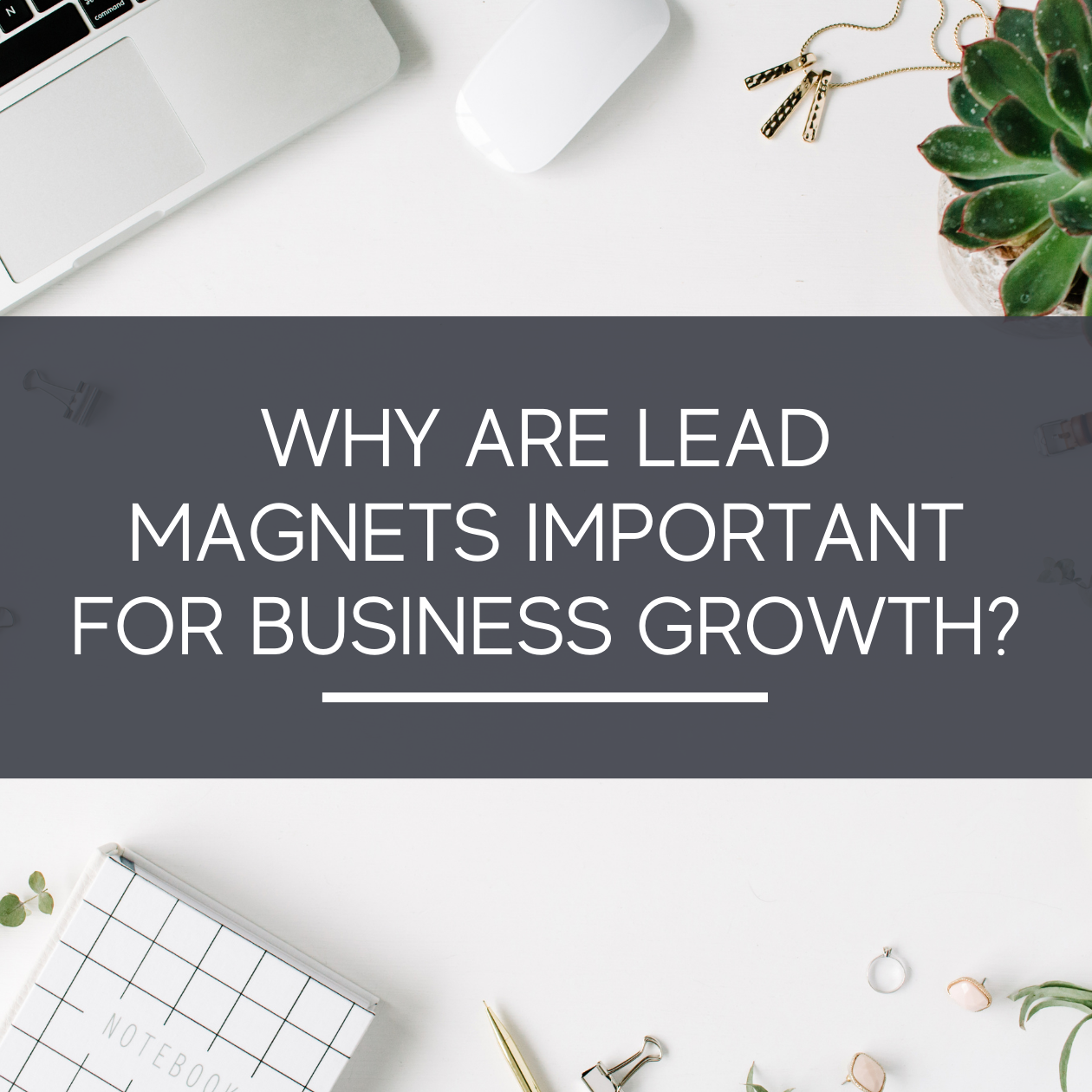 Why are Lead Magnets Important for Business Growth - The Growth Manager