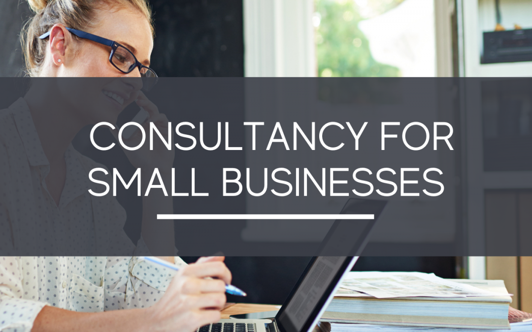 Understand Your Business And The Audience It Serves With Guidance From A Small Business Mentor