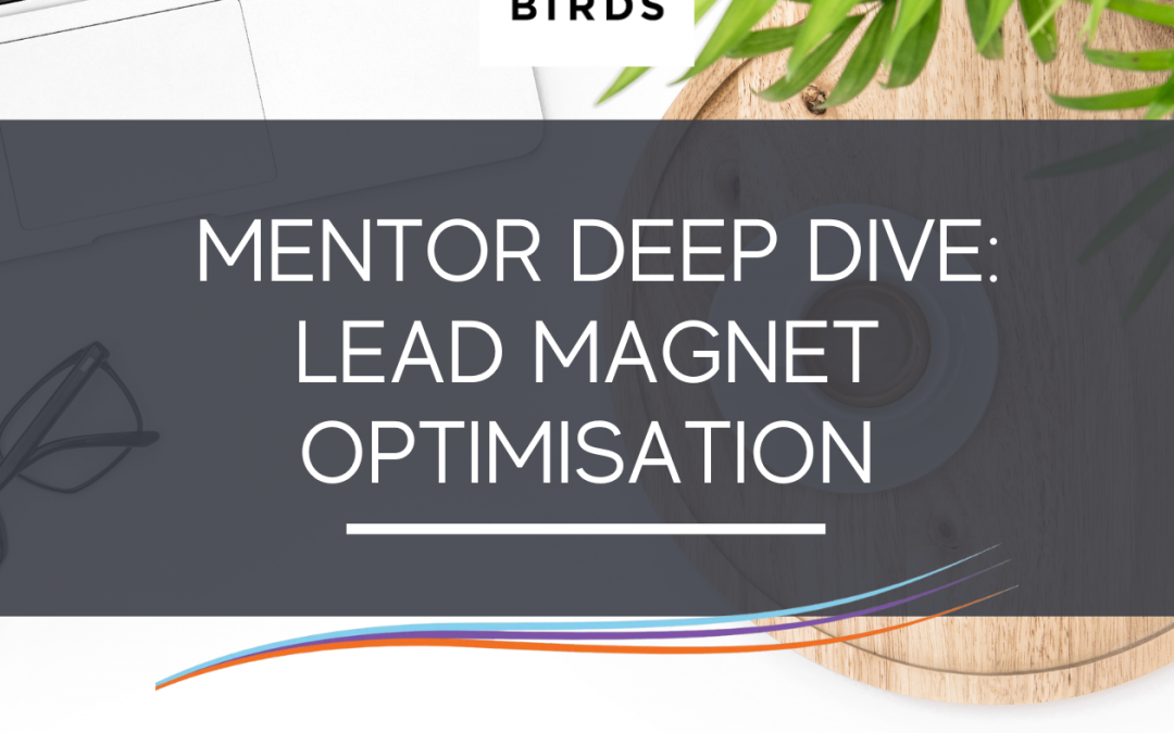 Mentor Deep Dive: Lead Magnet Optimisation