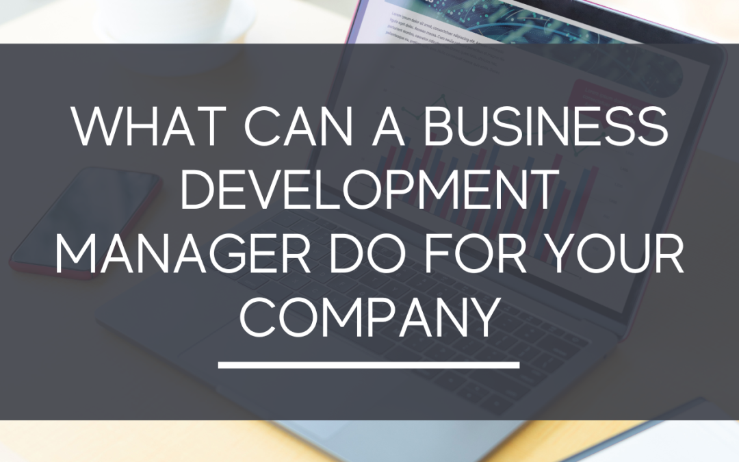 What Can A Business Development Manager Do For Your Company