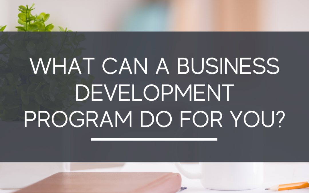 What Can A Business Development Program Do For You?