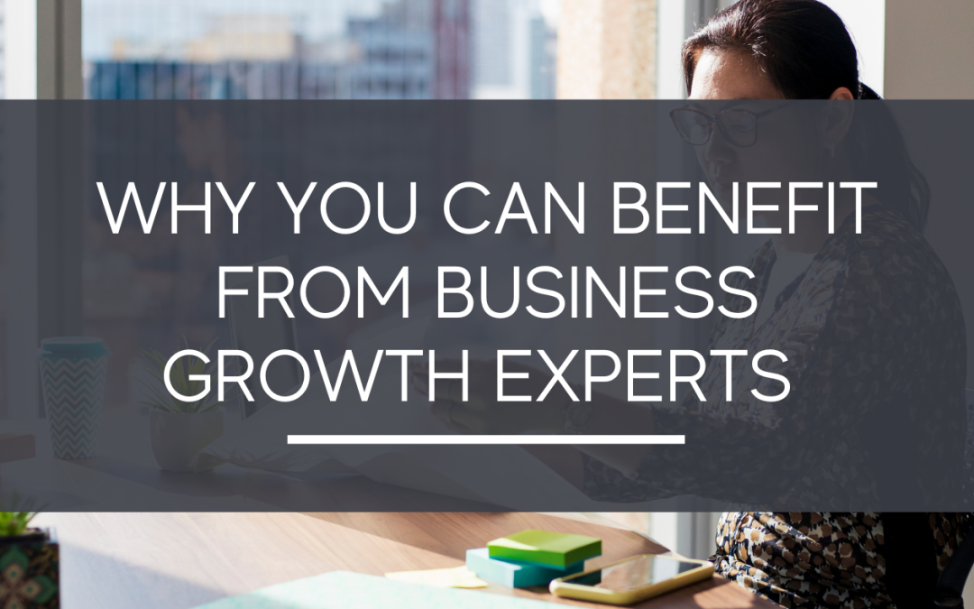 Why You Can Benefit From Business Growth Experts