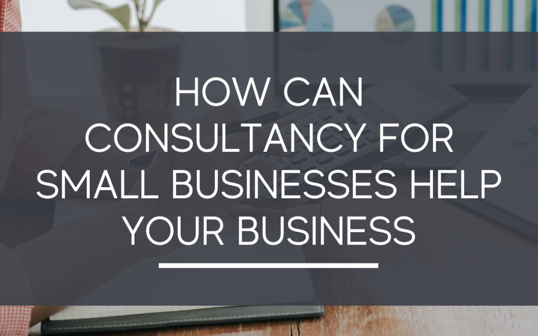 How Can Consultancy For Small Businesses Help Your Business