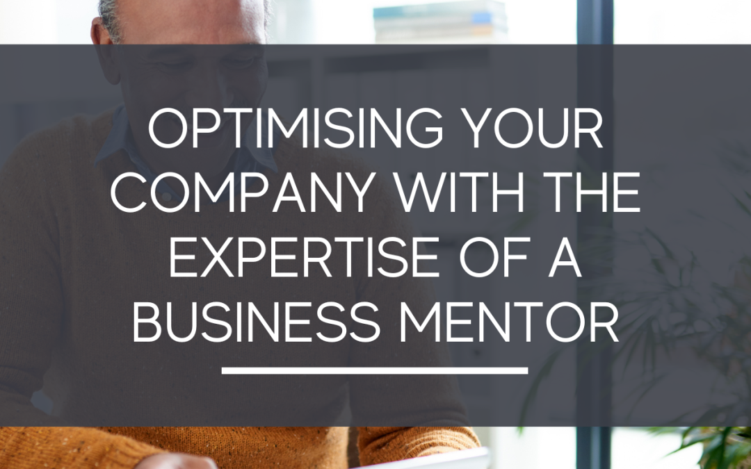 Optimising Your Company With The Expertise Of A Business Mentor