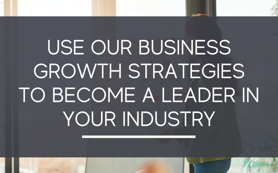 Use Our Business Growth Strategies To Become A Leader In Your Industry