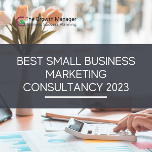 Best Small Business Marketing Consultancy 2023
