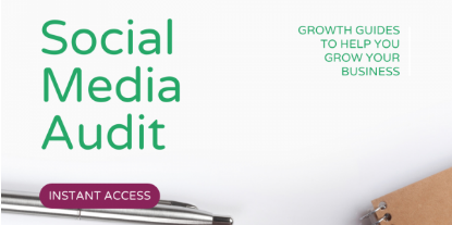 Social Media Audit